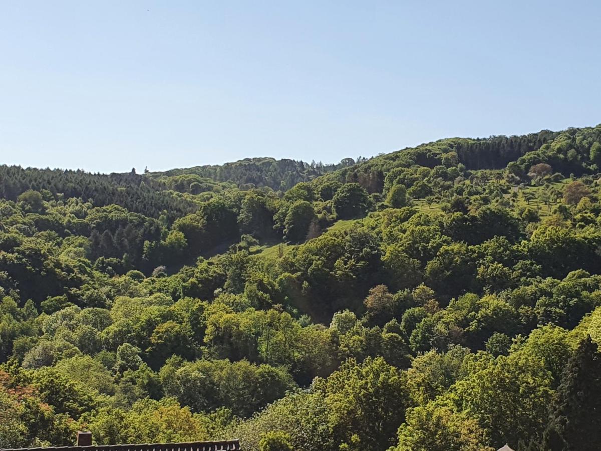 Die Gruene Oase Am Rheinsteig 2 Zkbuwc Neuwied Luaran gambar